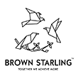 Brown Starling